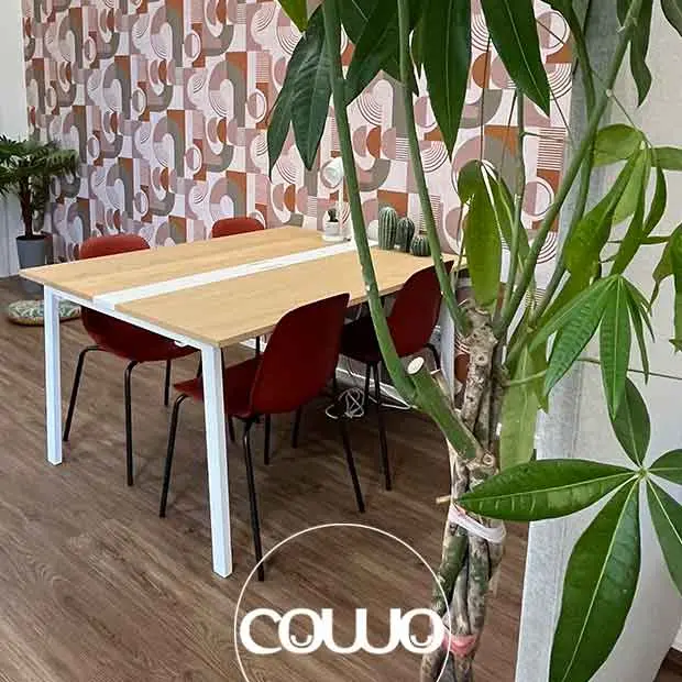 coworking-grosseto-centro5