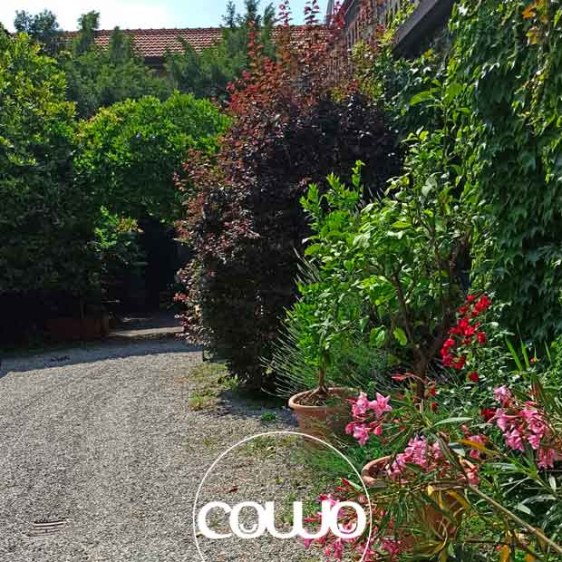 coworking-sovico-new5